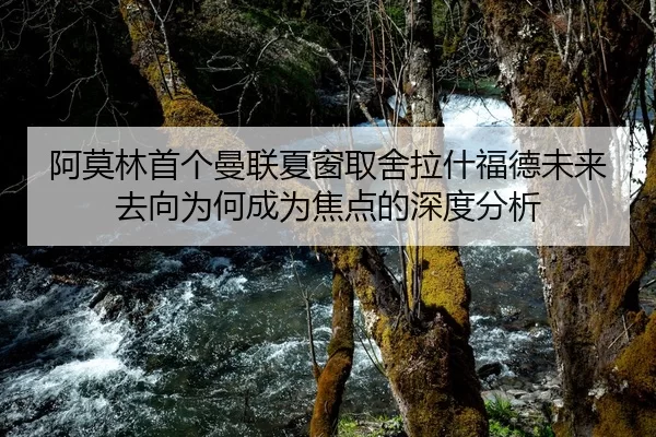 阿莫林首个曼联夏窗取舍拉什福德未来去向为何成为焦点的深度分析