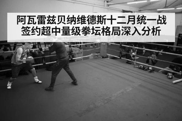 boxer training gym