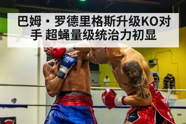 巴姆·罗德里格斯升级KO对手 超蝇量级统治力初显