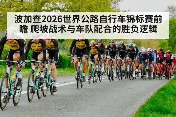 波加查2026世界公路自行车锦标赛前瞻 爬坡战术与车队配合的胜负逻辑